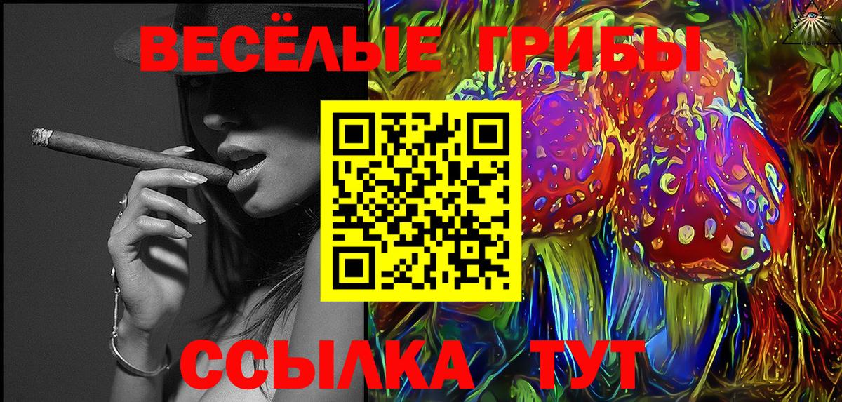 Новозыбков  Псилоцибиновые грибы Psilocybine cubensis  Вход с VPN 